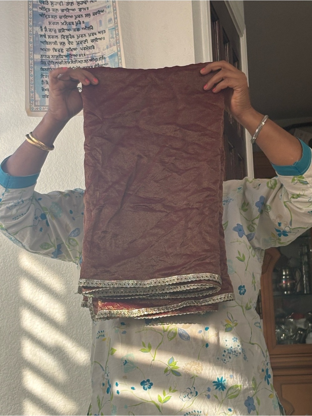 Shinny Sheer Dupatta